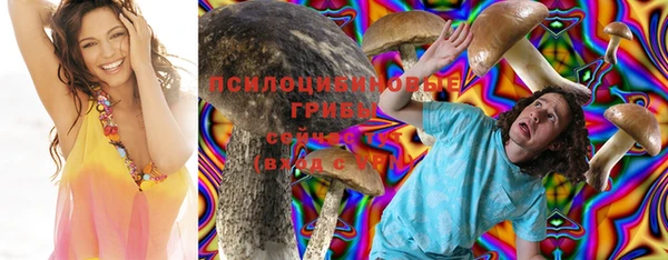 Альфа ПВП Балабаново