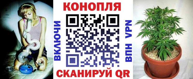 Купить  Оха  Бошки Шишки MAZAR 